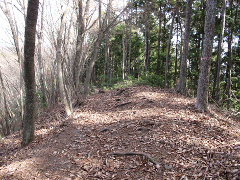 20151116hike (126)